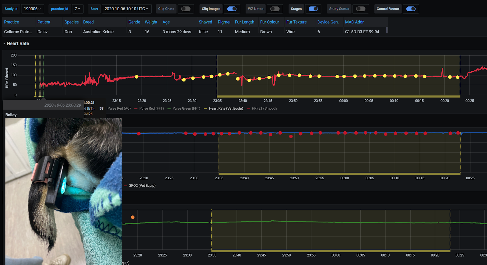 AVT's Custom Analytics Platform - Drives Validation and Analysis